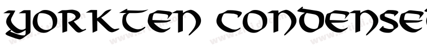 yorkten condensed bo字体转换